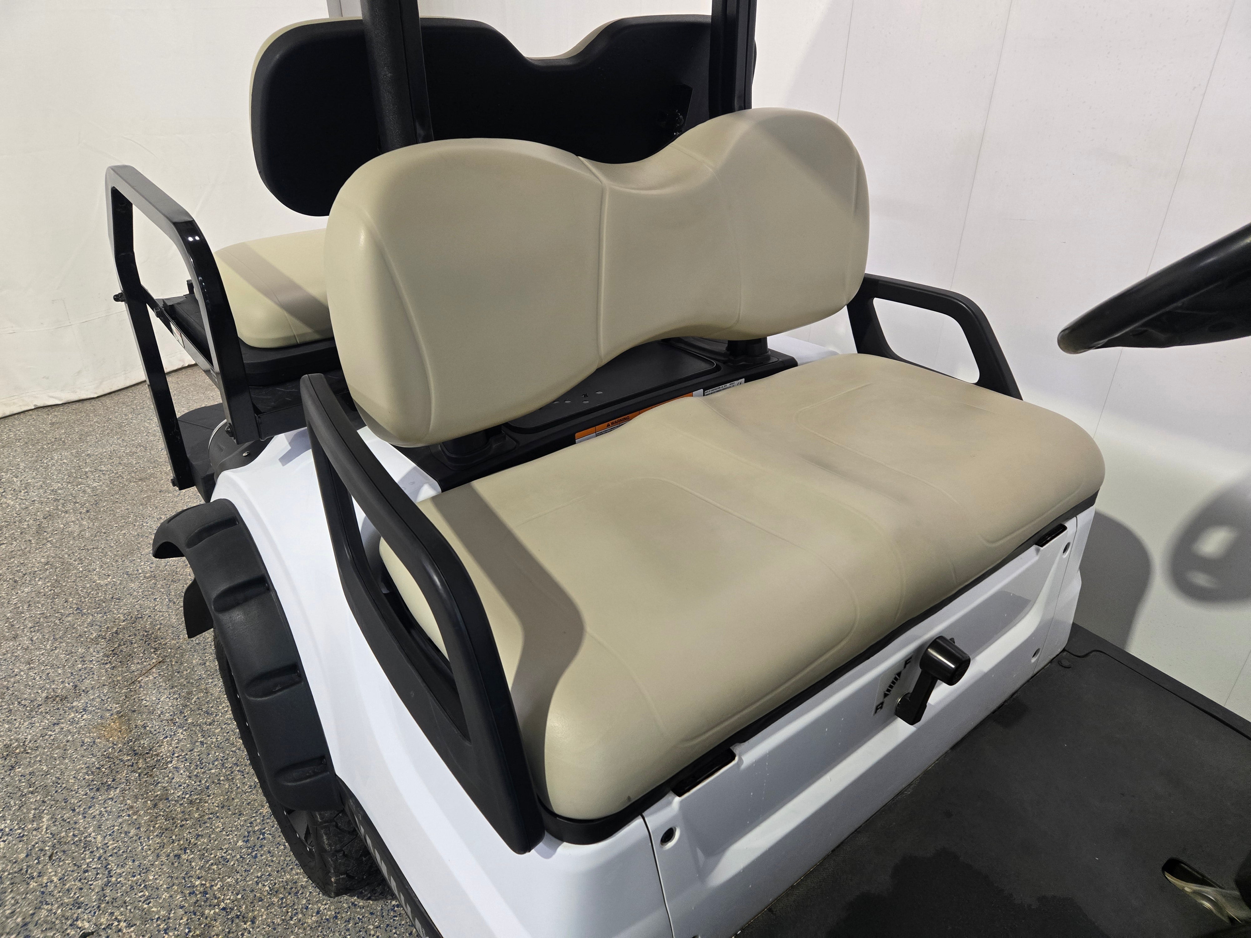 2019 Yamaha Drive2 EFI Gas 4 Passenger Lifted